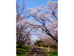 �ɂ���r���R�����̍��̎ʐ^1