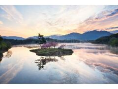 �����_���̍��̎ʐ^1