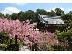 �Γ�Ԃ̎��ЂƖ��R���߂���̎ʐ^1