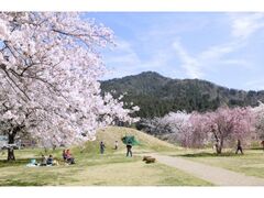 �˒q�`���̗��Õ������̍��̎ʐ^1