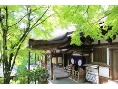 ������t�̋����̎ʐ^1