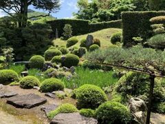 ���a���U�{�܁i��p�Ɓj�@�t�̓��ʌ��J�̎ʐ^1