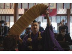 �t�̑�ʎ�F���Ɛ����Q�q�̎ʐ^1