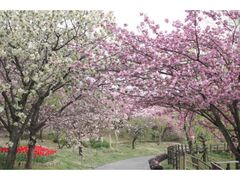 ���d�����C�g�A�b�v�̎ʐ^1