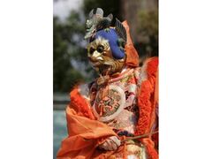 �ΐ��������{�@�������j�Ղ̎ʐ^1