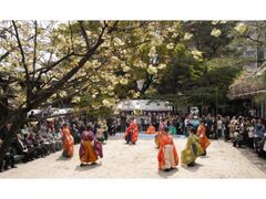 �t�G���Ձ@�~�m�V�c�Ղ̎ʐ^1