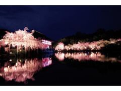 �����_�{�@������2026�̎ʐ^1