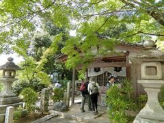 �m�a�����A�R�䎺���\���P���E�H�[�N�̎ʐ^1