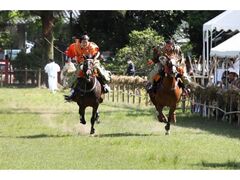 ��΋��n�̎ʐ^1