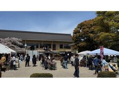 �p���؍Ղ�̎ʐ^1