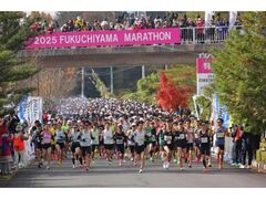 ��34�񕟒m�R�}���\���̎ʐ^1