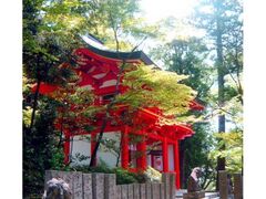 �����䗅�_�Ё@�t�G��Ղ̎ʐ^1