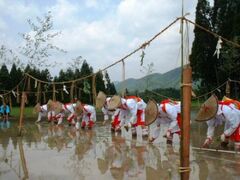 ���s����_�Ќ�c�Ղ̎ʐ^1