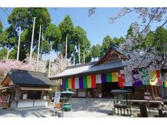 �O��@�̍��̎ʐ^1