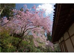 �O��@�̍��̎ʐ^1