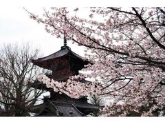 �^�@���i�^���Ɋy���j�̍��̎ʐ^1