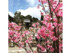 ���J�ω��@�z�����̎ʐ^1