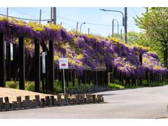 ���H�����ۑS�Z���^�[��ʌ��J�̎ʐ^1