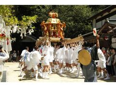 ����_�А_�K�Ղ̎ʐ^1