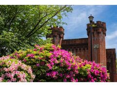 �R��򐅏��ʌ��J�̎ʐ^1