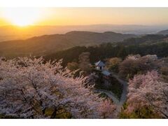 �P�����̍��̎ʐ^1