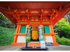 �镧�@�@�ӗ֊ω���F�E�ٍ��V�E�����V�@���ʌ��J�^�O�d�����w���ʊJ���̎ʐ^1