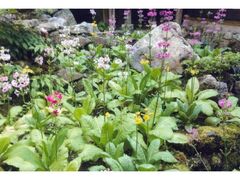 �Òm�J�@����Ɏ��@��֑��̎ʐ^1