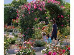 �����o�����@�t�̃o���܂�̎ʐ^1