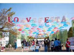 ���n�X�t�F�X�^����2026�t�̎ʐ^1