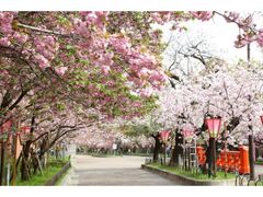 �����ǁu���̒ʂ蔲���v�̎ʐ^1