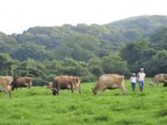 �_�Öq��ԍՂ�̎ʐ^1