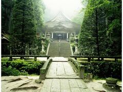 ���O���@����̏��̎ʐ^1