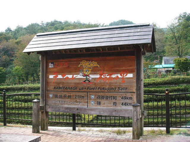 ���̉w ���색�E�t�H�[�������̗�