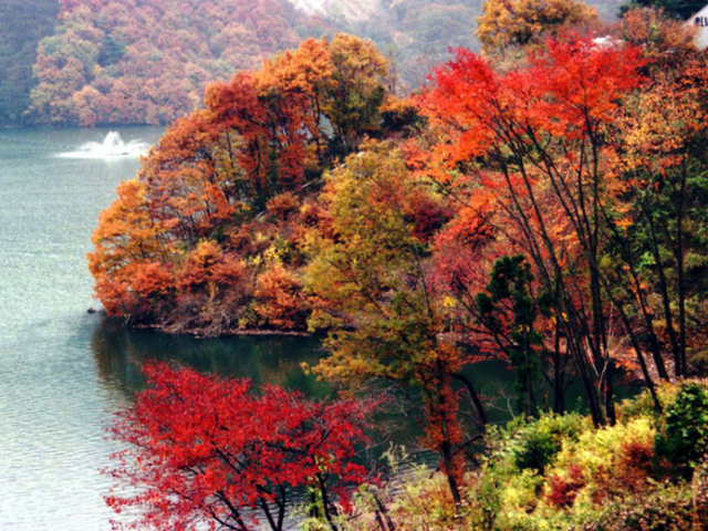 草木湖