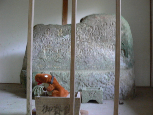 �Ă������p�p����̐瓕�Ε��̓��e�ʐ^1