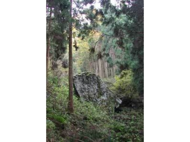 mototennis����̋{���R�̌Ñ�@����Ղ̓��e�ʐ^1