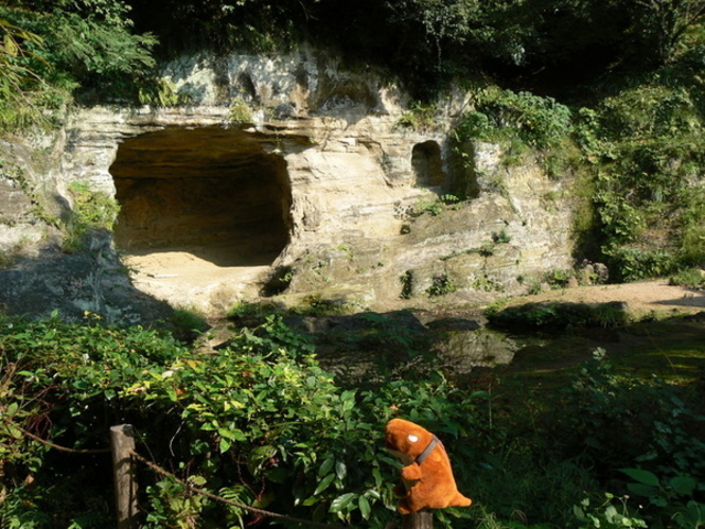 Ăpp̐򎛒뉀̓eʐ^1