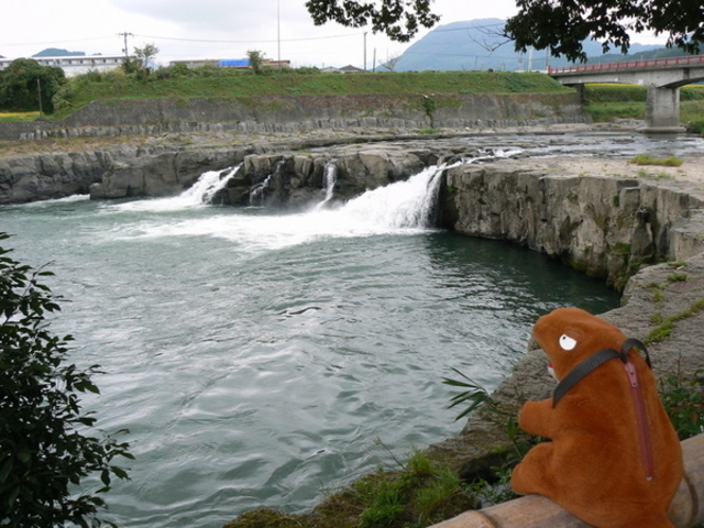 �O�����̑����