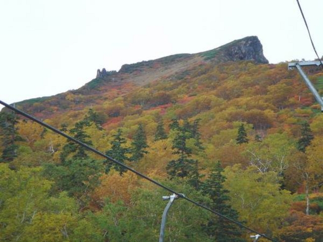 ���x�y�A���t�g