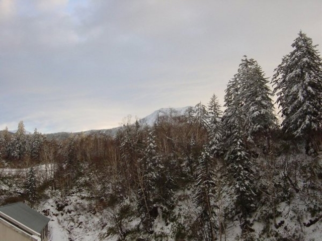 ���x����