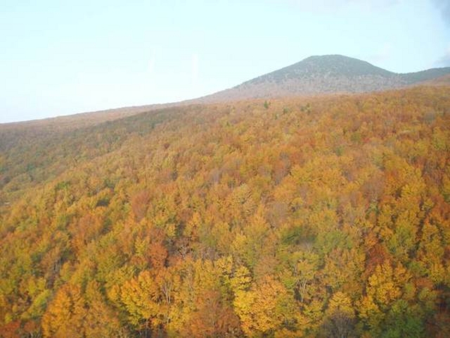 ���b�c���[�v�E�F�[