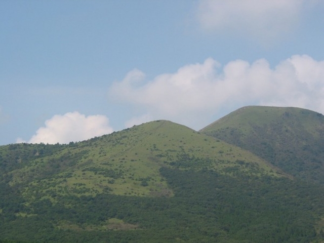 �O�W�R�i���x�m�j