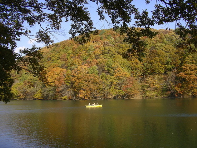 ���V�ΗV����