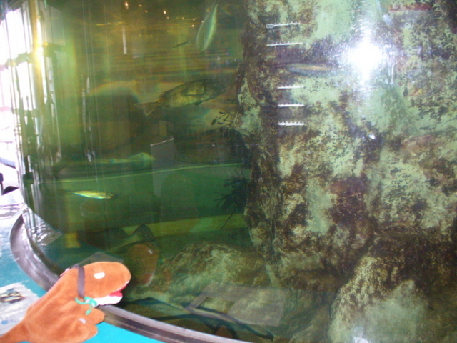 ���肨���Z���^�[