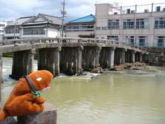 てえすけパパさんの祇園橋の投稿写真1