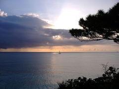 悽񂳂̖тւ̓eʐ^1