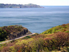 ���񂿂�񂳂�̗������C���ւ̓��e�ʐ^1