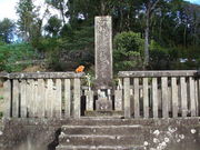 �Ă������p�p����̑��ǉƕ�n�̓��e�ʐ^1