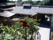 Ăpp̏uv̕uOcƕʓ@viΊفj̓eʐ^1