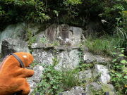 �Ă������p�p����̓�{���R���A���s���R���̓��e�ʐ^1